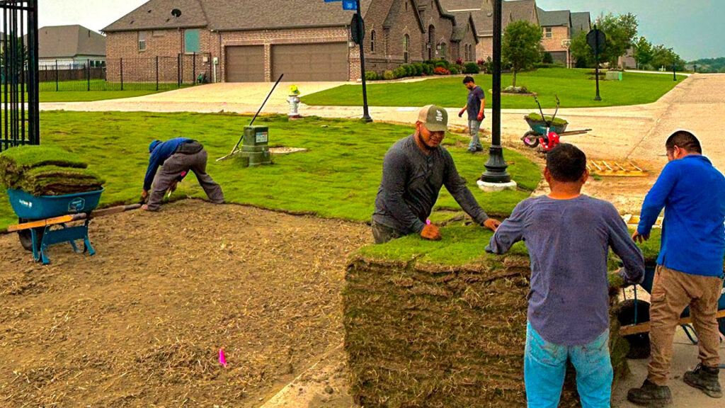 Sod Installation example 2